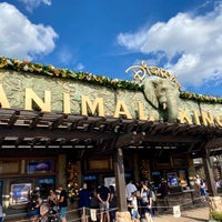 Photo taken at Disney&amp;#39;s Animal Kingdom by Sean T. on 11/23/2019