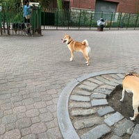Photo taken at Peter Detmold Park Dog Run by David R. on 5/8/2019