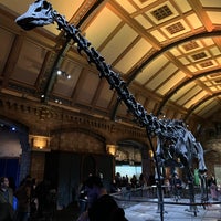 Photo taken at Dinosaur Gallery by Chris B. on 12/31/2022