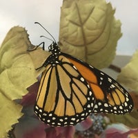 Das Foto wurde bei Bear Mountain Butterfly Sanctuary von Mike C. am 7/3/2017 aufgenommen