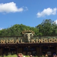 Photo taken at Disney&amp;#39;s Animal Kingdom by Robert P. on 6/7/2015