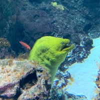 Снимок сделан в Aquarium Berlin пользователем Anthony W. 4/5/2024