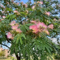 Photo taken at Higashi Shinagawa Kaijo Park by Arlmaty on 9/24/2023