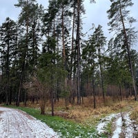 Photo taken at Переделкинский лес by Alexey S. on 11/20/2021