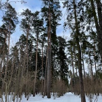 Photo taken at Переделкинский лес by Alexey S. on 2/26/2022
