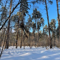Photo taken at Переделкинский лес by Alexey S. on 2/5/2022
