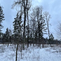 Photo taken at Переделкинский лес by Alexey S. on 12/4/2021