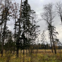 Photo taken at Переделкинский лес by Alexey S. on 10/16/2021