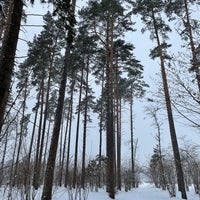 Photo taken at Переделкинский лес by Alexey S. on 1/22/2022