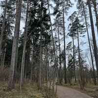 Photo taken at Переделкинский лес by Alexey S. on 11/27/2021