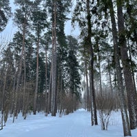 Photo taken at Переделкинский лес by Alexey S. on 1/15/2022