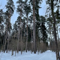 Photo taken at Переделкинский лес by Alexey S. on 1/8/2022