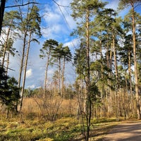 Photo taken at Переделкинский лес by Alexey S. on 10/23/2021