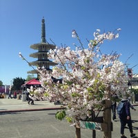 Photo taken at Northern California Cherry Blossom Festival by Michael Y. on 4/14/2013