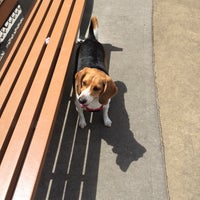 Photo taken at Lou Lodati Park - Dog Run by Sidney W. on 5/24/2015