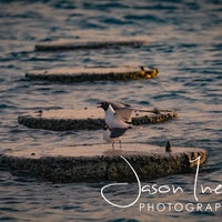 Photo taken at Rodger&amp;#39;s Beach by Jason I. on 5/1/2020