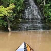 Pine Tree Picnic Area 1 Sheffield Lake Oh