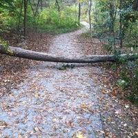Photo taken at Piedmont Park Walk/Bike Trail by Steven L. on 11/11/2012