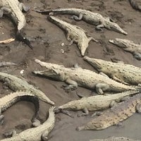 Das Foto wurde bei Jose&amp;#39;s Crocodile River Tour von Marcos T. am 8/4/2016 aufgenommen