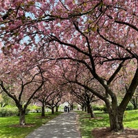4/28/2021 tarihinde Andre W.ziyaretçi tarafından Brooklyn Botanic Garden'de çekilen fotoğraf
