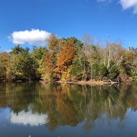 รูปภาพถ่ายที่ Cincinnati Nature Center (Rowe Woods) โดย Jainee S. เมื่อ 10/27/2019