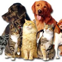 7/29/2014에 Pet Supplies N.님이 Pet Supplies &amp;#39;N&amp;#39; More에서 찍은 사진