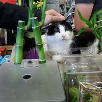Global Pet Foods Davisville 1 tip from 62 visitors