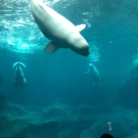 Photo taken at Georgia-Pacific Cold Water Quest by Andy D. on 8/17/2018