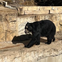 Foto diambil di San Antonio Zoo oleh Jennifer J. pada 1/19/2023