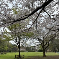 Photo taken at Kinuta Park by Mike M. on 4/8/2024