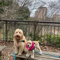 Photo taken at 茅ヶ崎公園 by Kentaro O. on 3/7/2021