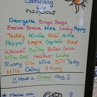 vca arden animal hospital