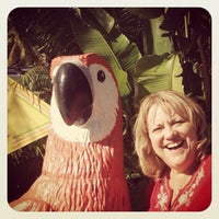 รูปภาพถ่ายที่ Parrot Key Caribbean Grill โดย Linda B. เมื่อ 10/12/2012