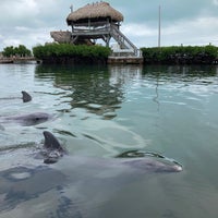 Photo taken at Dolphin Research Center by Brian C. on 10/19/2020
