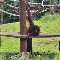 Photo taken at Lok Kawi Wildlife Park by Julia K. on 8/12/2022