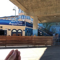 Photo taken at Santa Monica Pier Aquarium by Yenny Z. on 10/16/2021