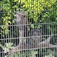 Photo taken at San Antonio Zoo by Millisent F. on 8/19/2023