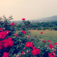 Photo taken at The Winery at Hunters Valley by Ryan C. on 9/2/2013