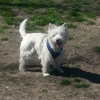 Photo taken at Dyker Dog Park by Laura F. on 4/6/2013