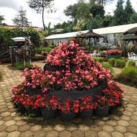 Taman Bunga Begonia Jardin