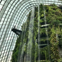 Photo taken at Cloud Forest by Will W. on 2/8/2017