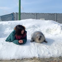 アザラシシーパラダイス 1 Tip