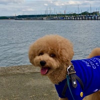 網干なぎさ公園 公園 網干なぎさ公園 公園