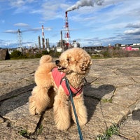 網干なぎさ公園 Park