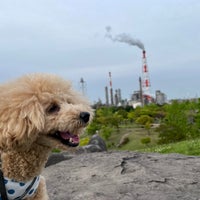網干なぎさ公園 公園 網干なぎさ公園 公園