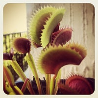 Photo taken at Venus Fly Trap by Mariano G. on 10/28/2012