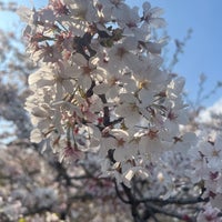 Photo taken at Kiyosumi Park by HN 0. on 4/1/2023
