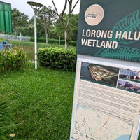 Photo taken at Lorong Halus Wetland by gerard t. on 5/21/2023