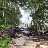 Photo taken at Chek Jawa Mangroves by gerard t. on 1/29/2021