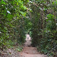 Photo taken at MacRitchie Nature Trails by gerard t. on 9/17/2023